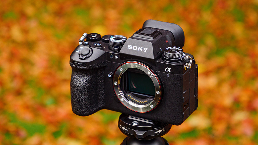 Sony A1 برای چه افرادی مناسب است