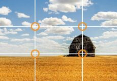 قانون یک سوم در عکاسی چیست ؟ راهنمای جامع و کاربردی برای عکاسان