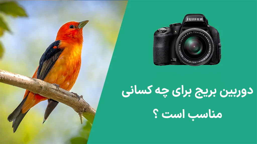 دوربین بریج برای چه کسانی مناسب است ؟